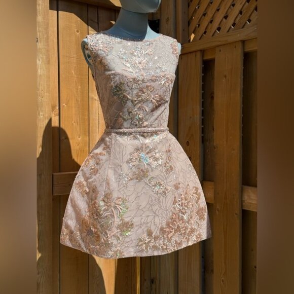 🆕 BRONX & BANCO 🧿 NWOT Violet Mini Dress, Gold & Champagne Sequin - Sz XS US 2 - Picture 10 of 15